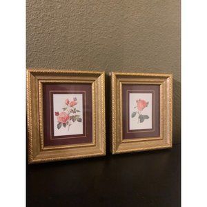 2 Vintage Wall Art Botanical Prints Pink Roses Gold Gild Frames 5.5”X6.5”
